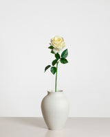 Rose — Light Yellow