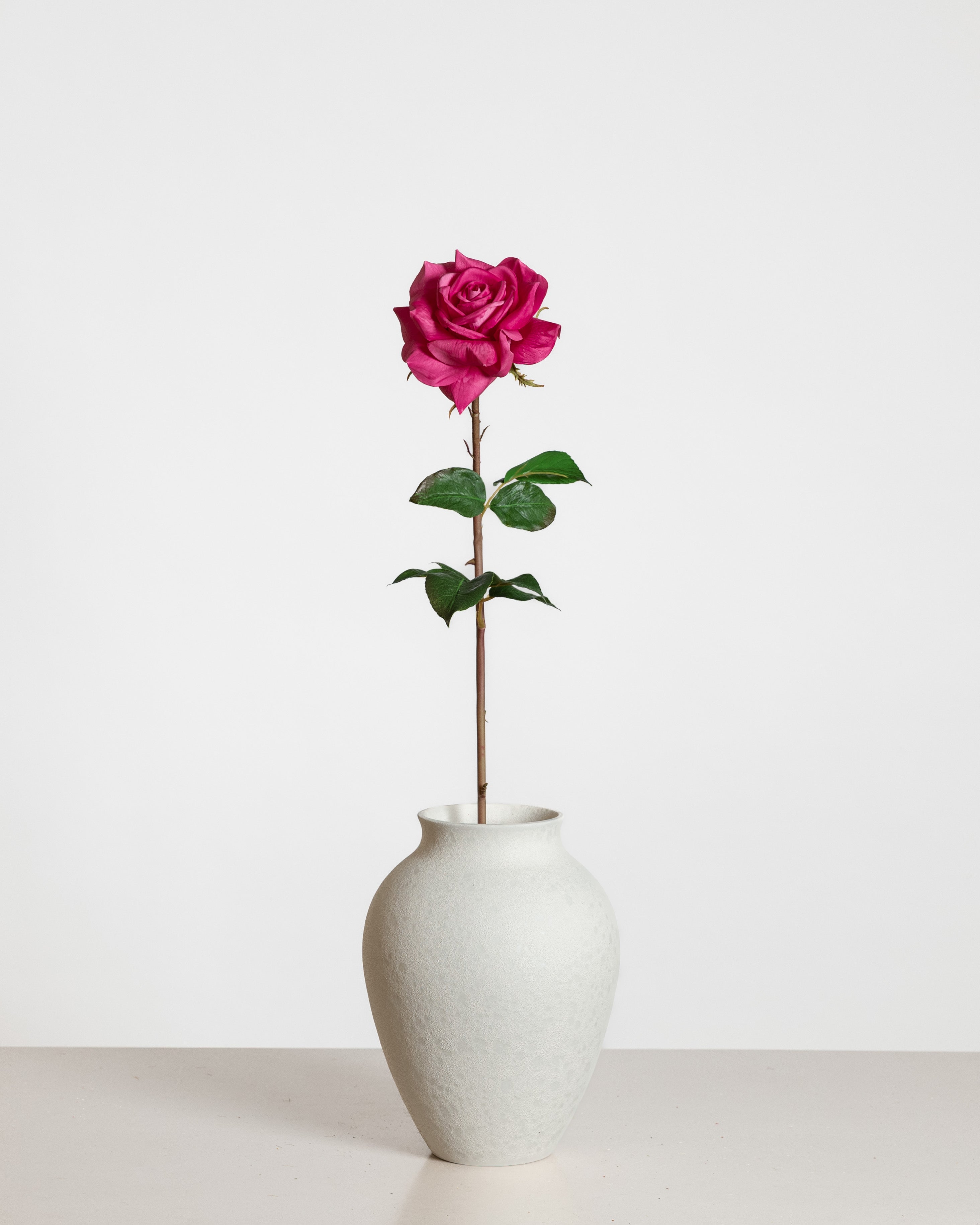 Premium Rose — Dark Pink