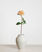 Premiumros — Ljusorange