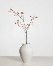 Bärspray — Apelsin