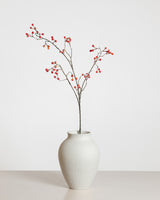 Bärspray — Apelsin