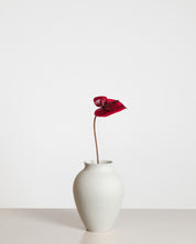 Anthurium Flower — Red