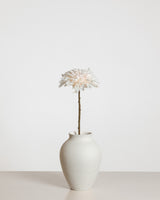 Dahlia Flower — Cream