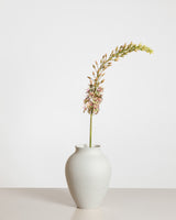 Eremurus Flower — Brown/Green