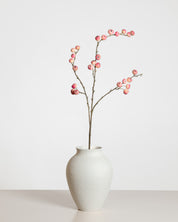 Apple Berry Spray  — Pink