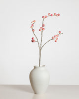 Apple Berry Spray  — Pink