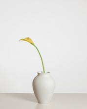 Calla Lily — Yellow