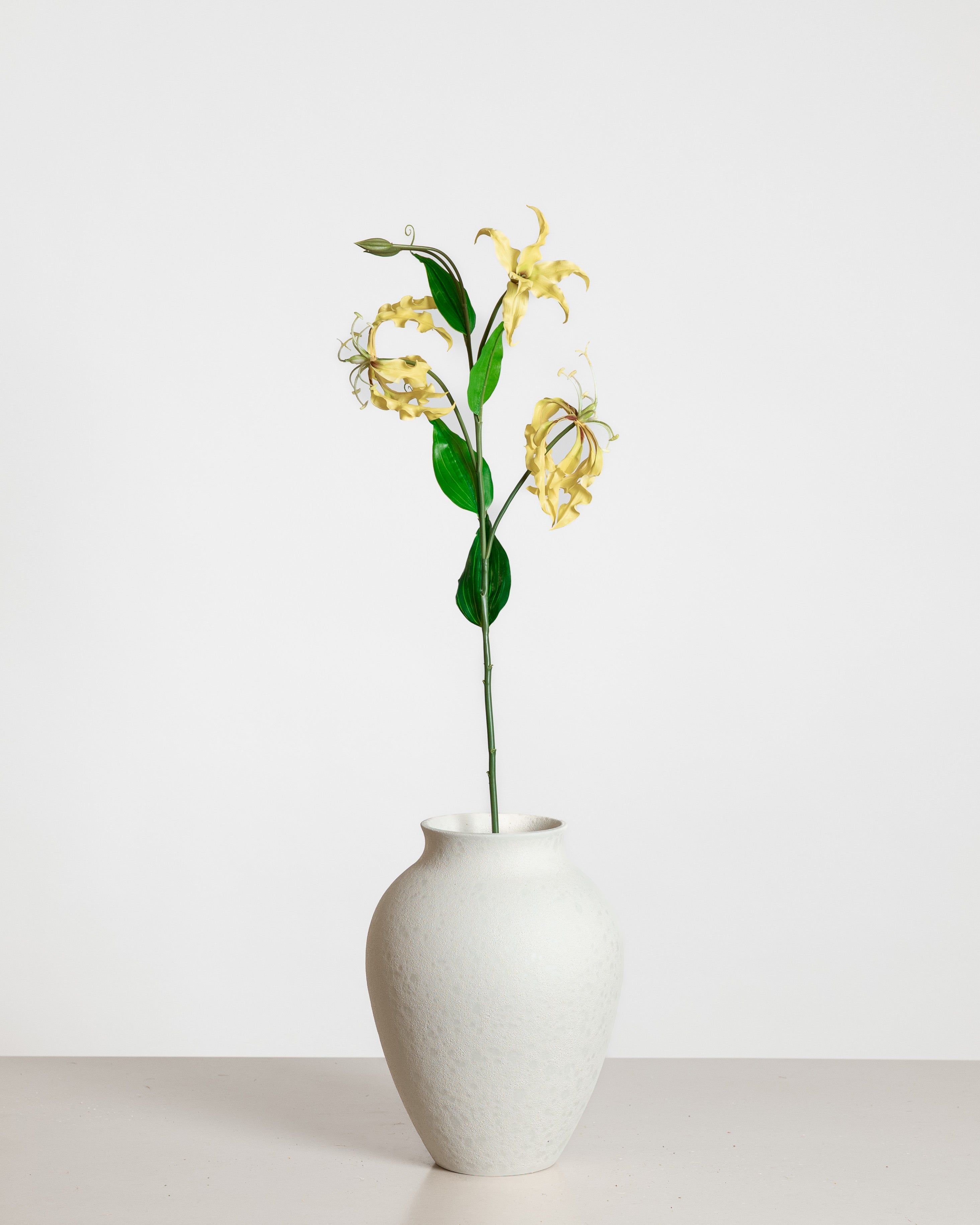 Gloriosa Flower — Yellow