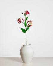 Gloriosa Flower — Red