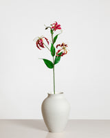 Gloriosa Flower — Red