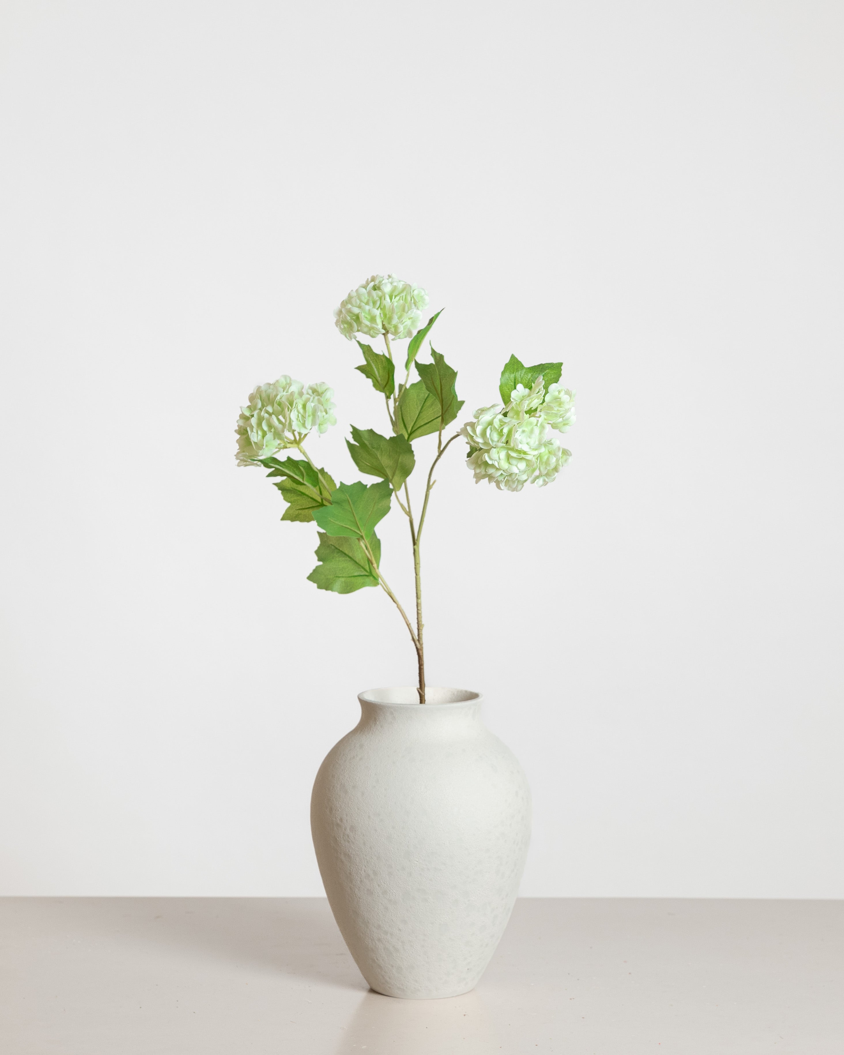 Snowball Hydrangea — Light  Green