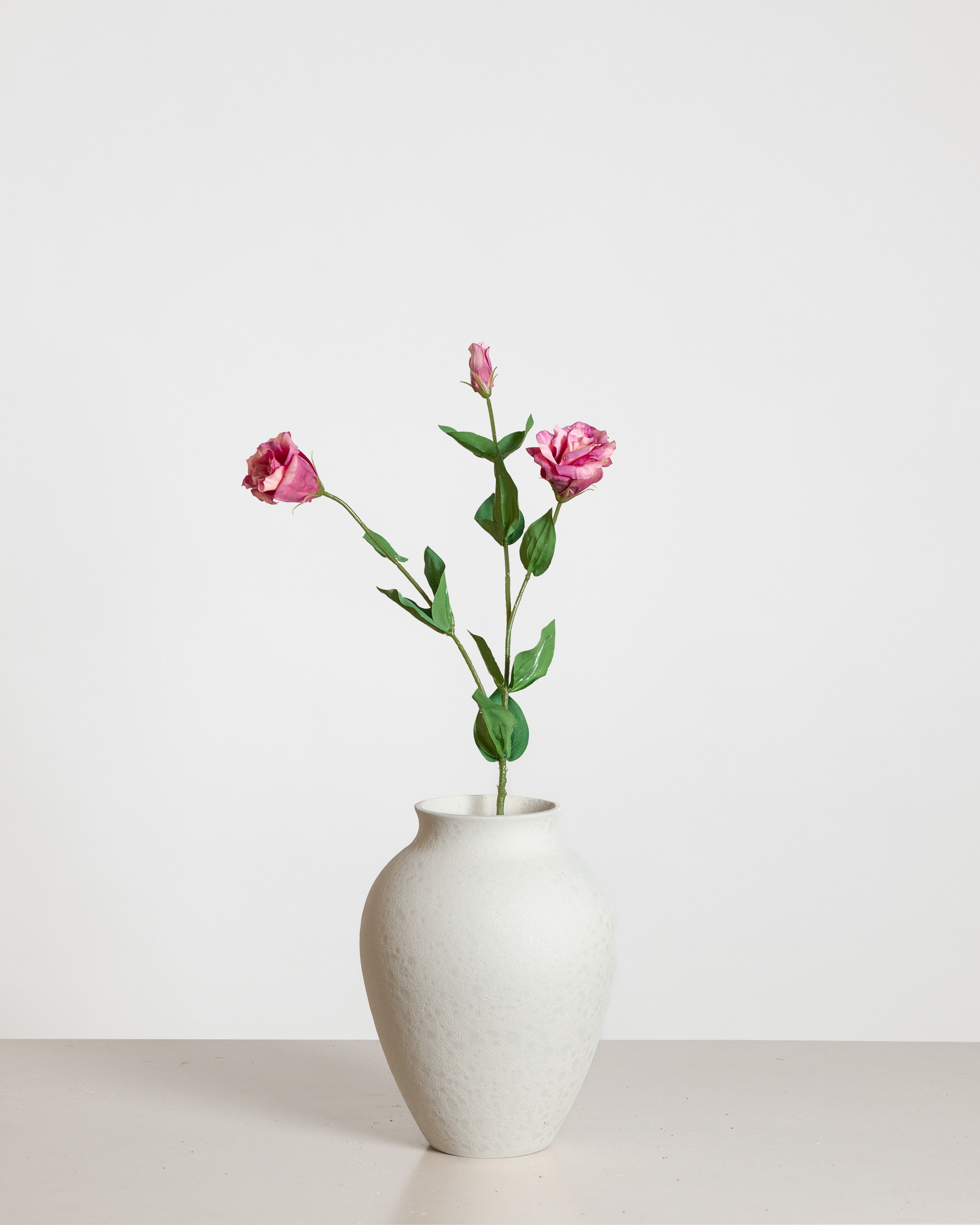 Lisianthus Rose  — Dark Pink