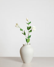 Lisianthus Rose  — White