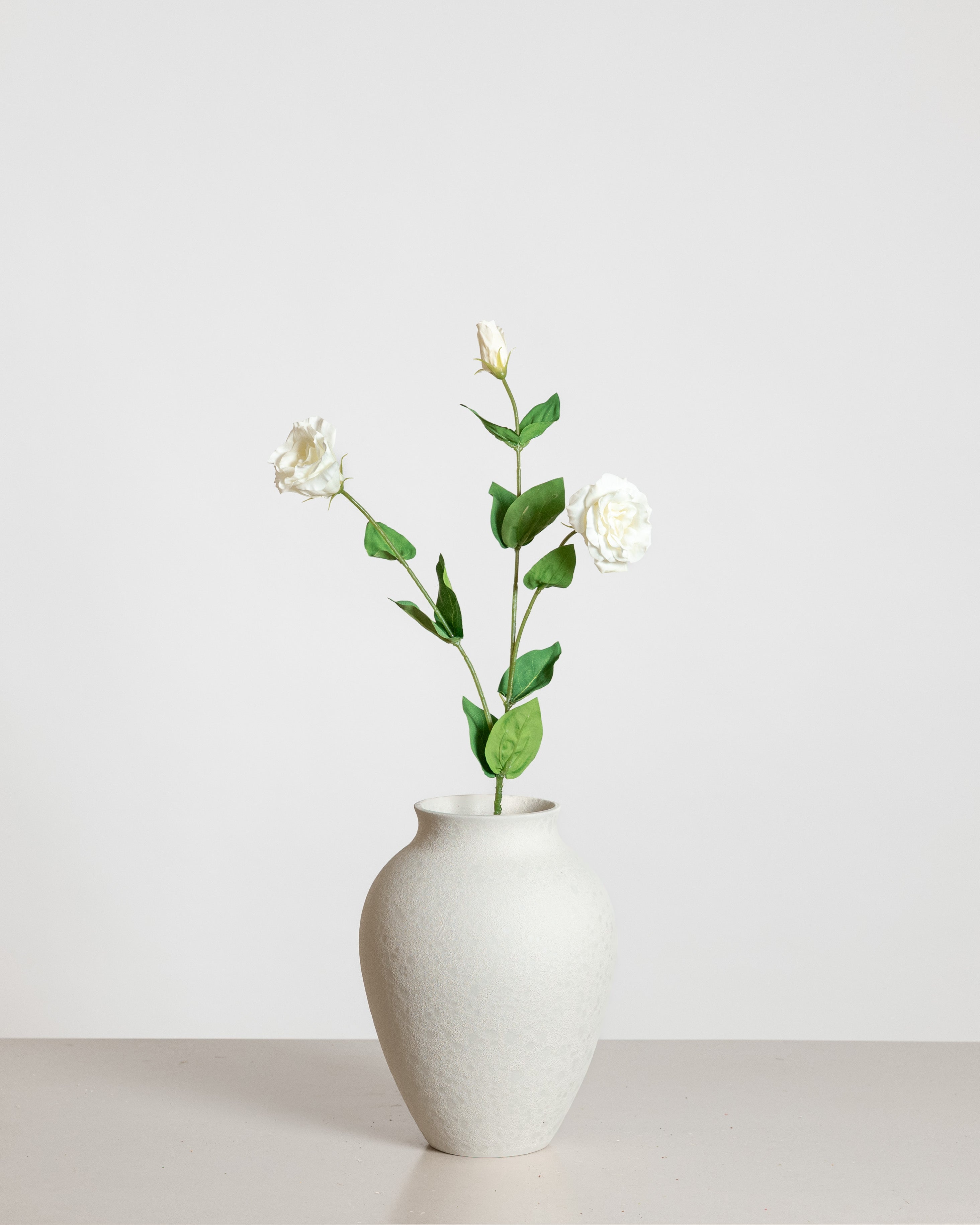 Lisianthus Rose  — White