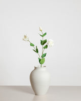 Lisianthus Rose  — White