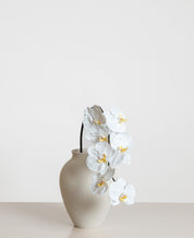 Orchid Flower — White