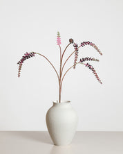 Phytolacca bärspray — Lila