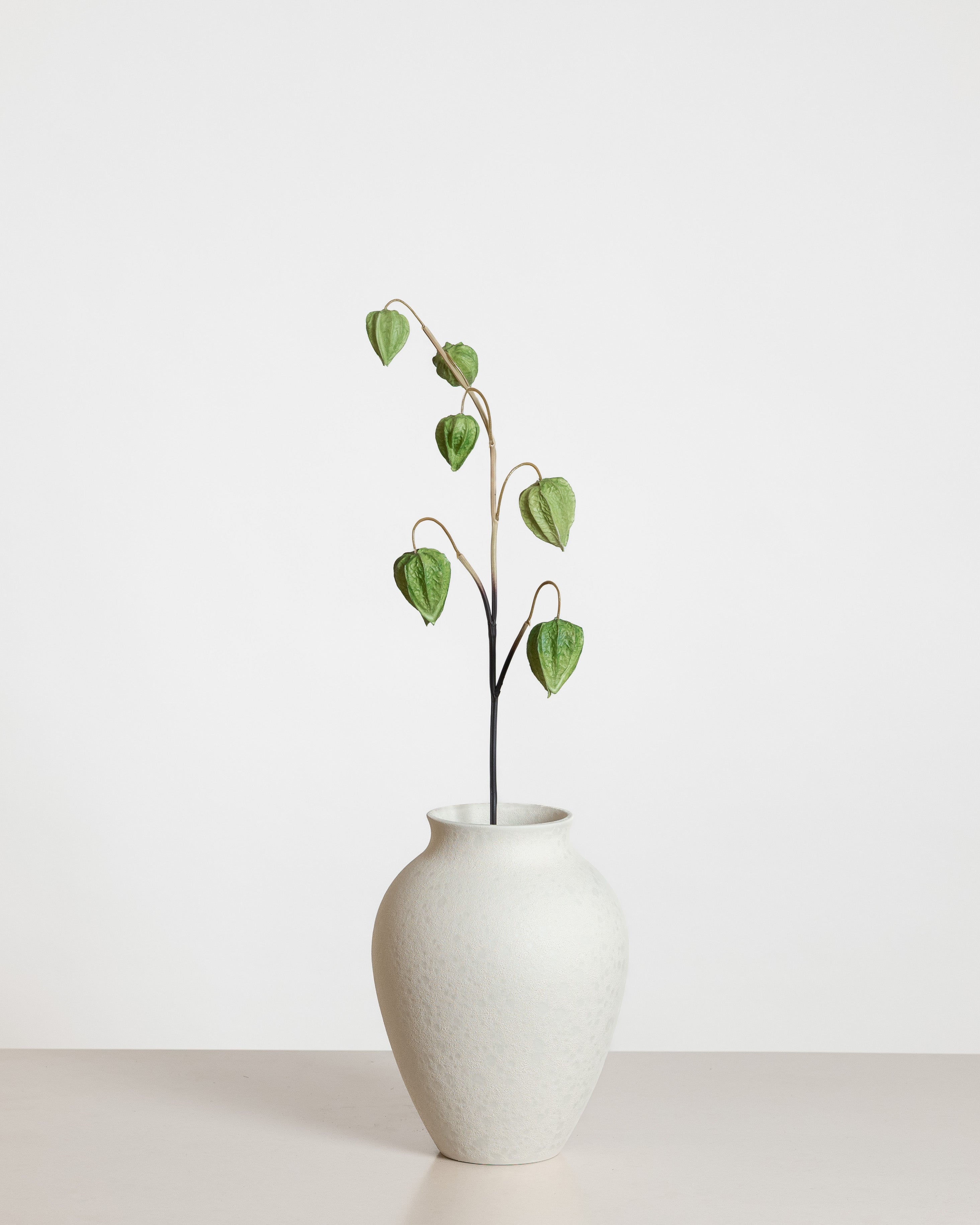 Physalis Flower — Green