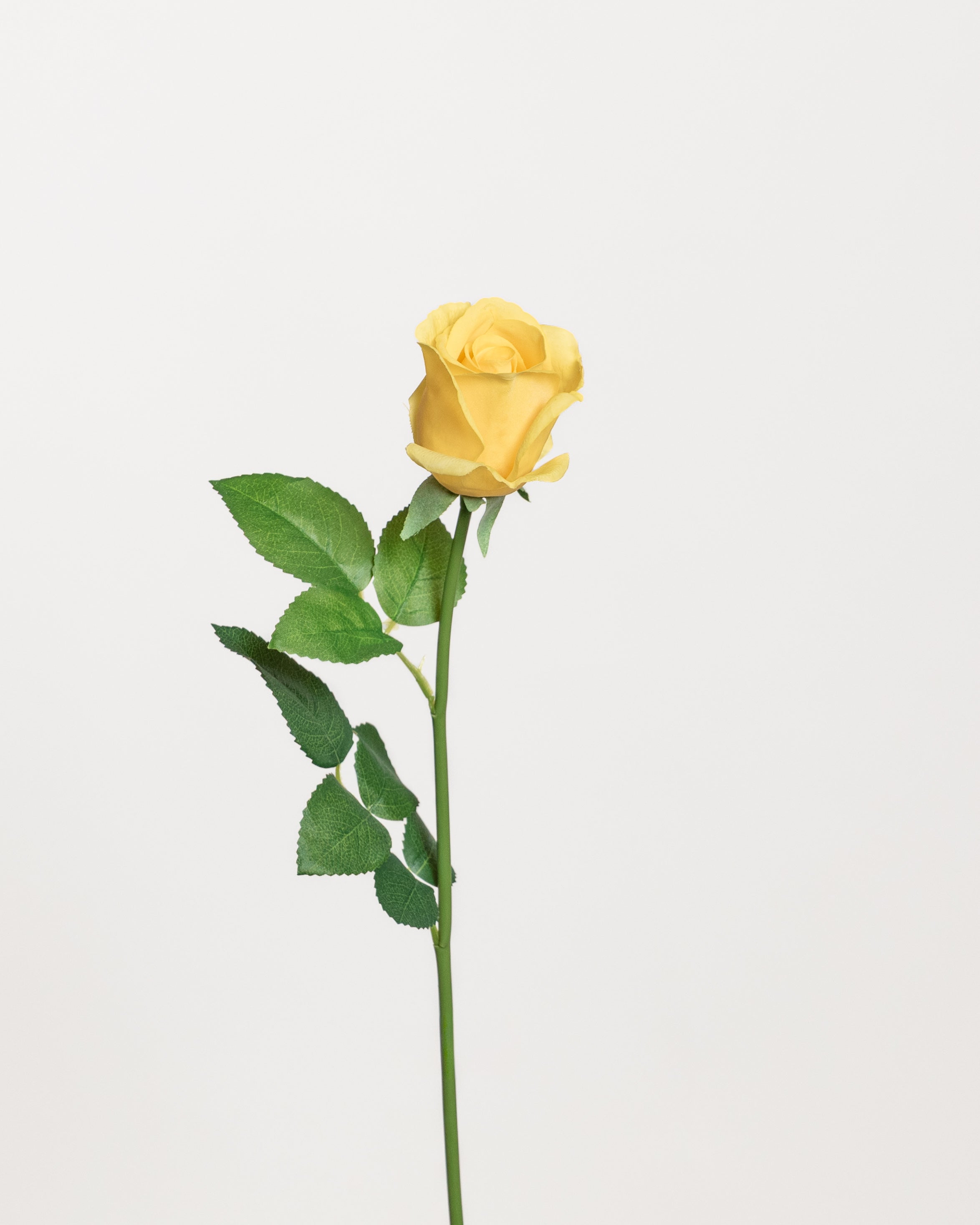 Rose — Yellow/Small