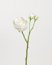 Rose Spray — White