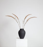 Foxtail Bouquet  | Brown