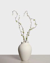 Amelanchier Spray — Green