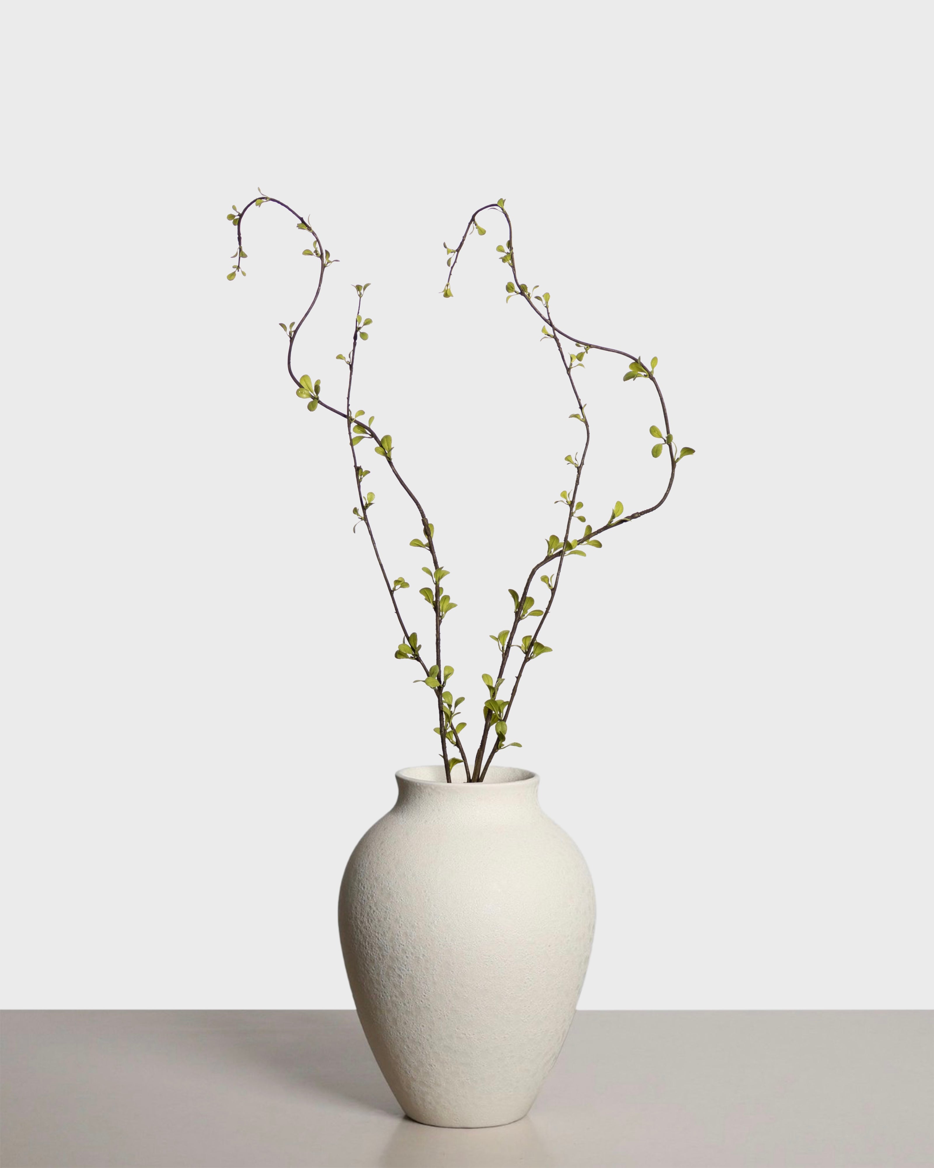 Amelanchier Spray — Green