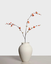 Rosehip — Orange