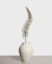 Eremurus Flower — Green