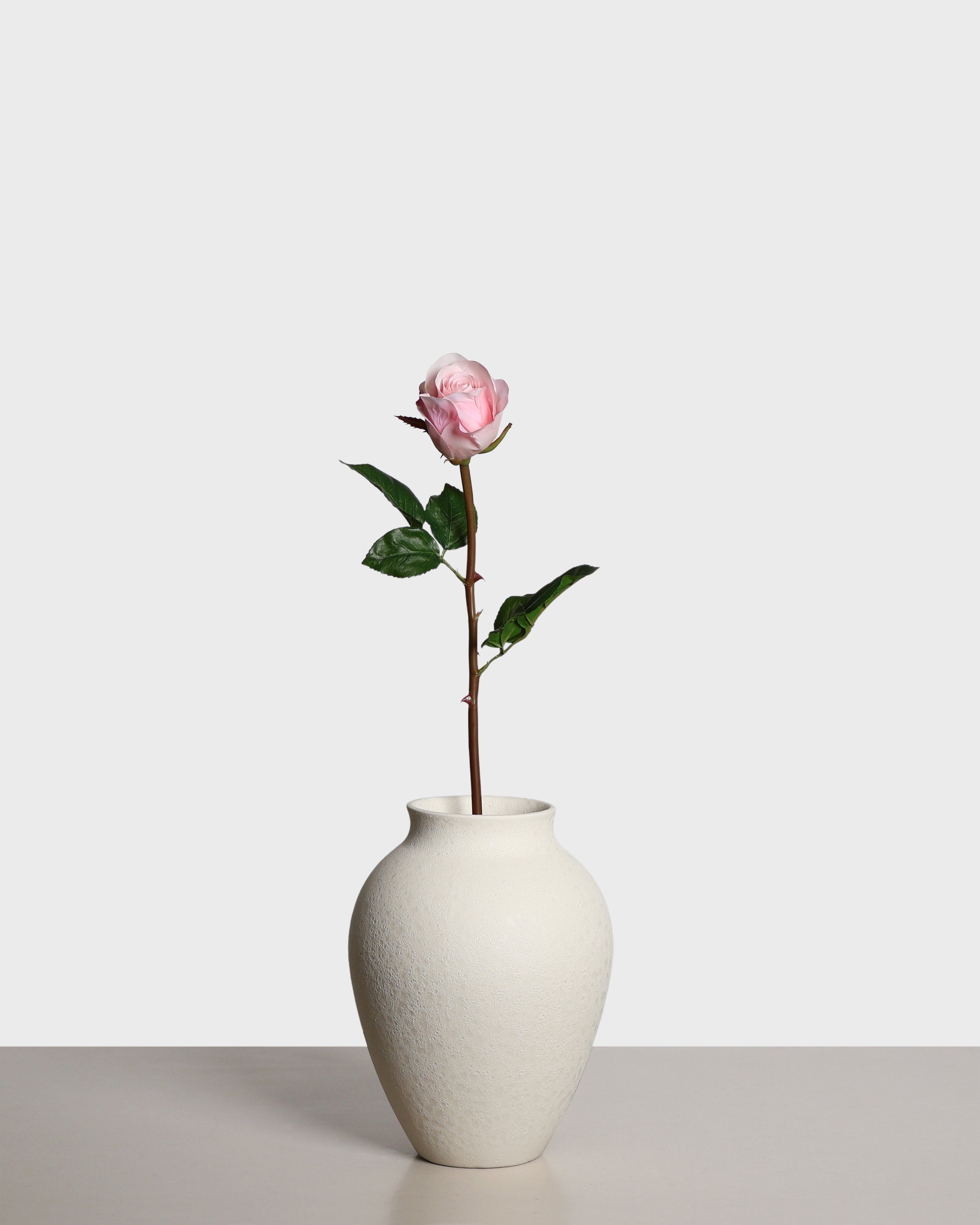 Premium Ros Liten – Rosa