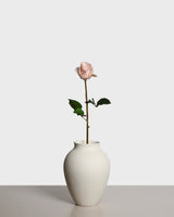 Premiumros liten — Ljusrosa