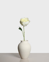 Pionblomma — Ljusgul