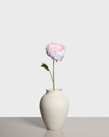 Pionblomma — Ljusrosa