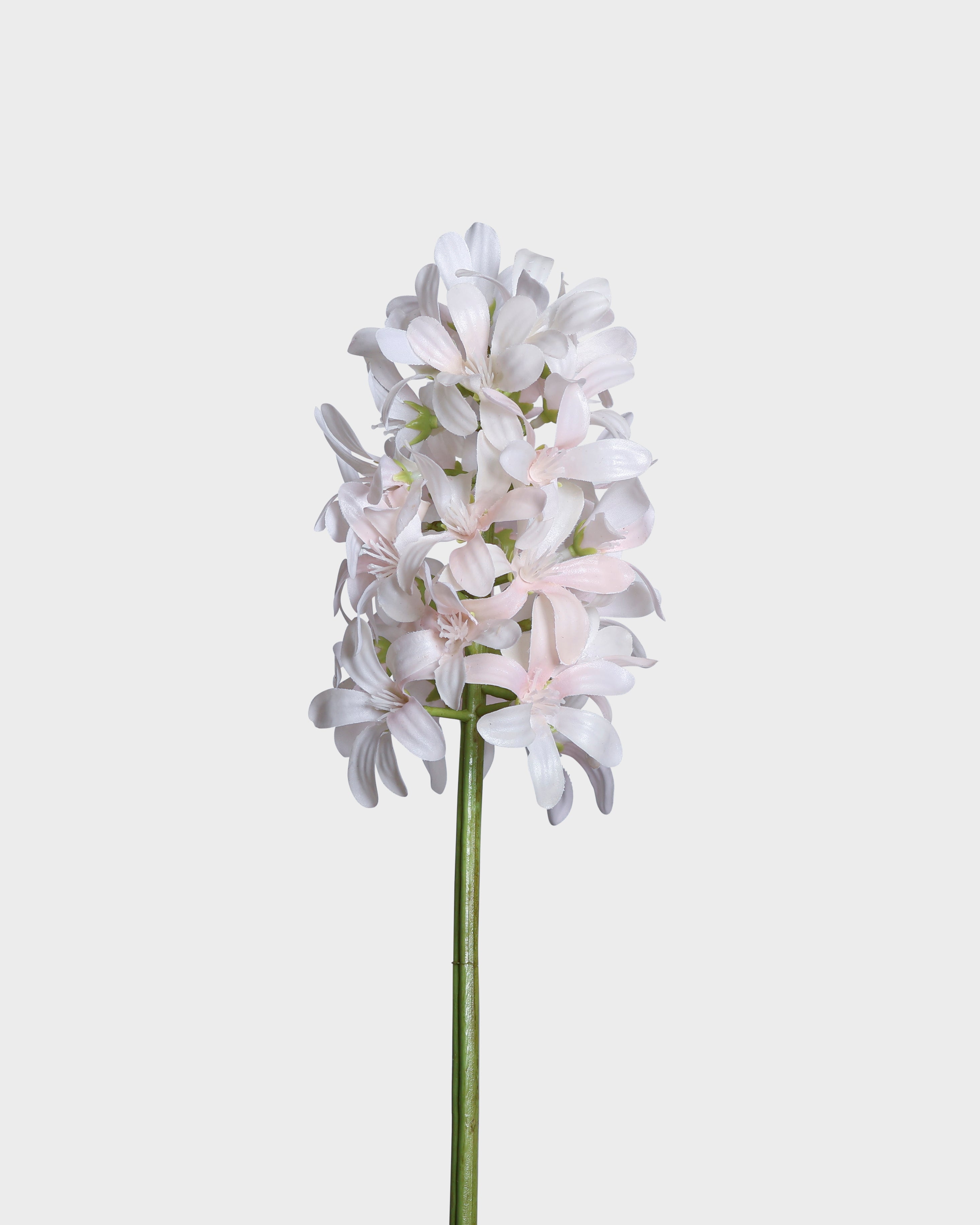 IMG_0048.jpg