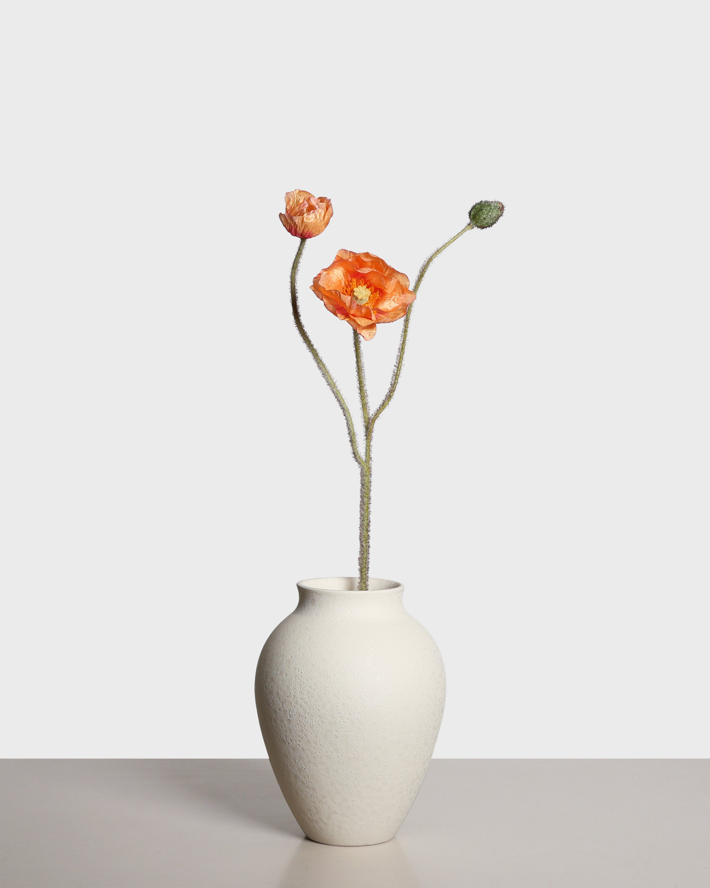 Vallmoblomma — Orange