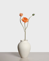 Vallmoblomma — Orange