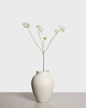Aralia Spray — Ljusrosa