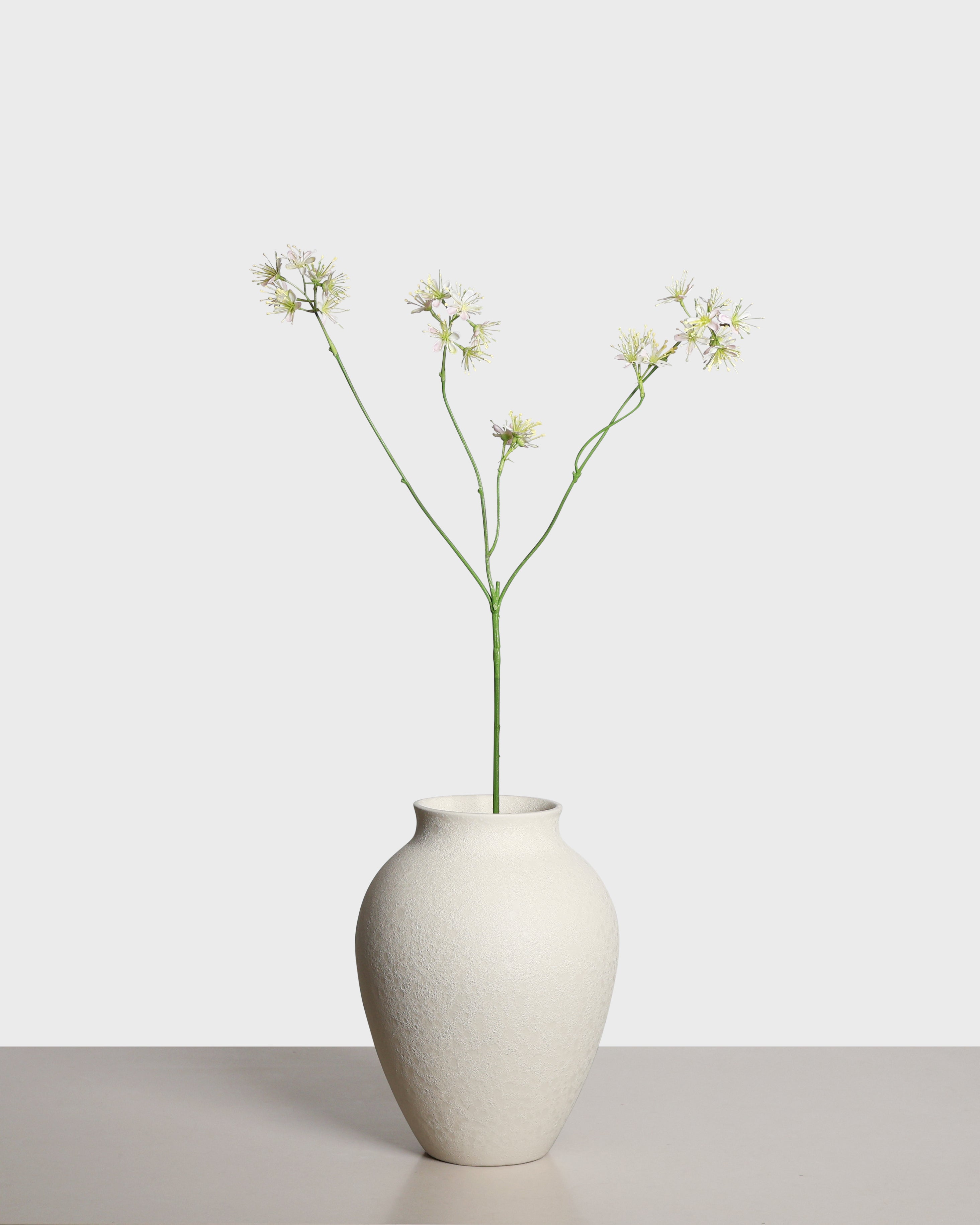 Aralia Spray — Ljusrosa
