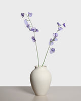 Lathyrus Flower — Lilac