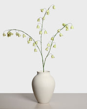 Fritillariablomma — Grön