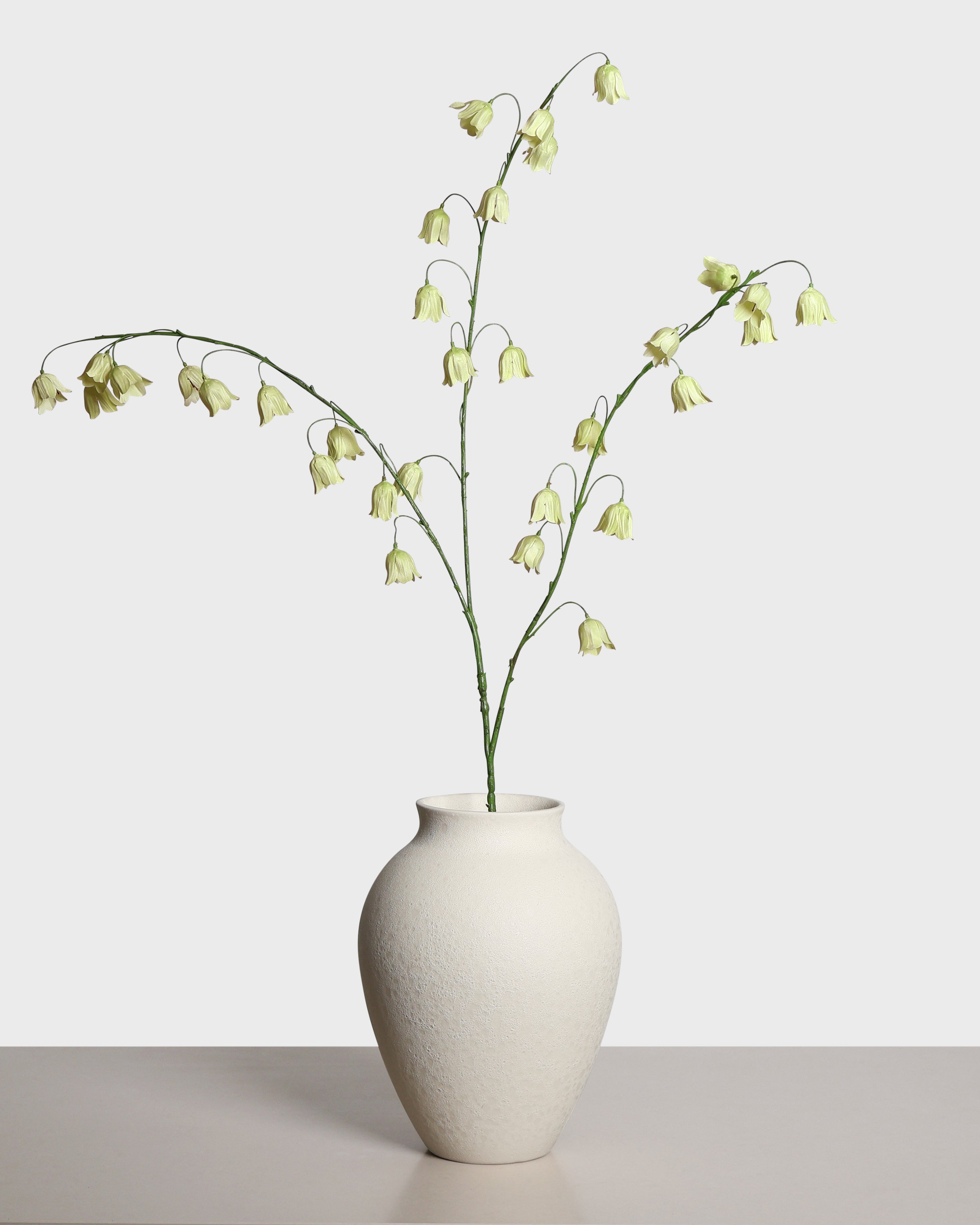 Fritillariablomma — Grön