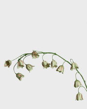 Fritillariablomma — Grön/Mauve