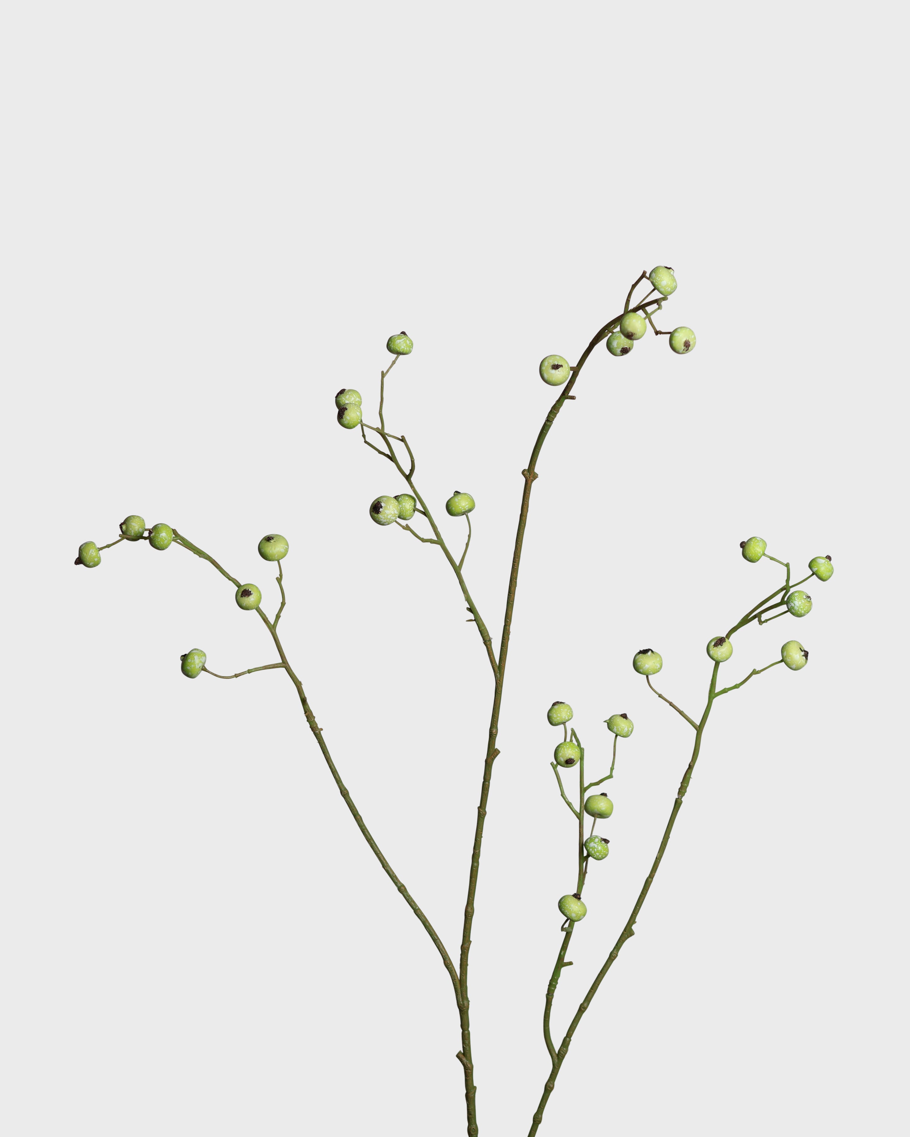 Bärkvist — Grön