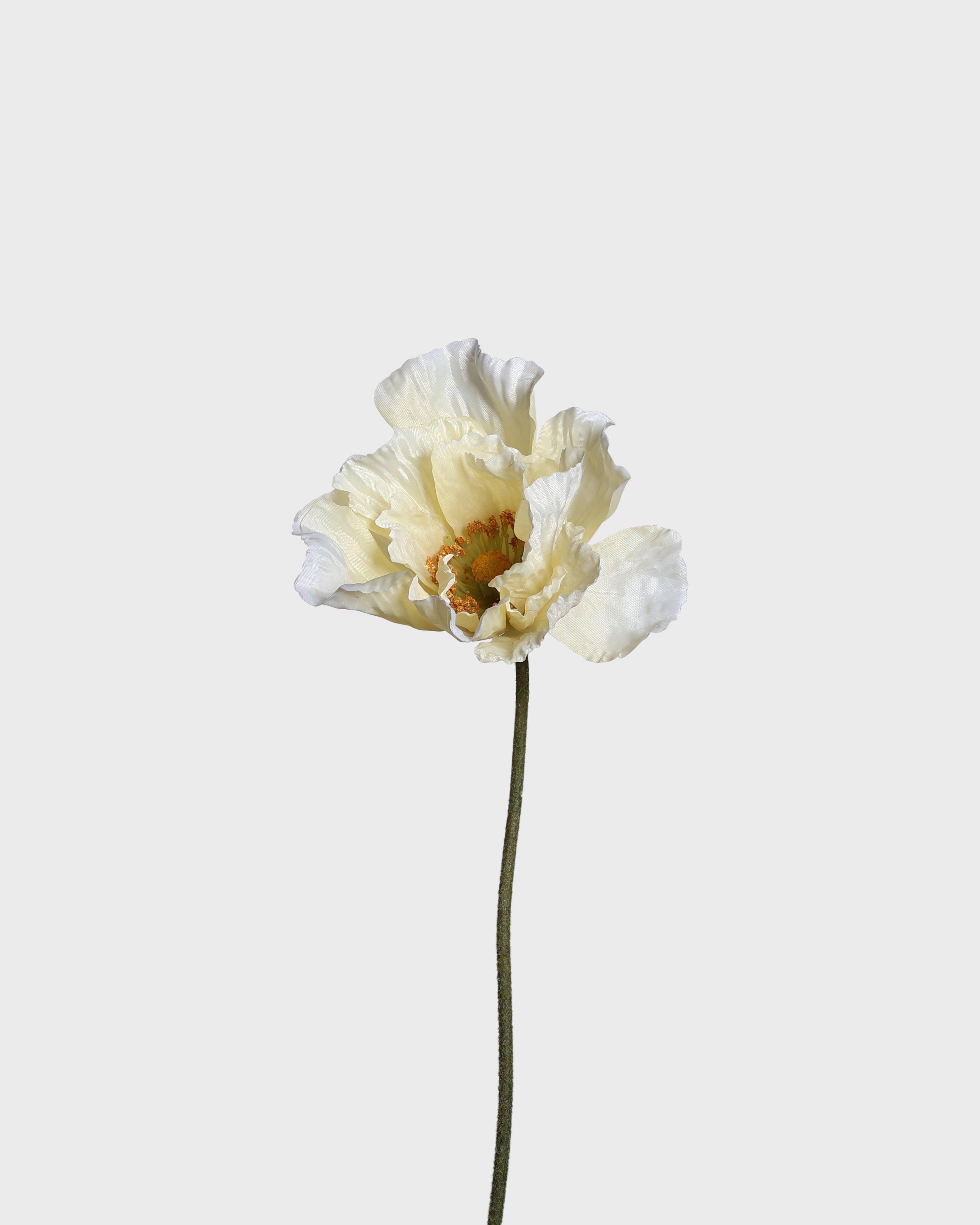 Vallmoblomma — Ljusgul