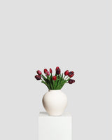 Tulpanbukett — Rosa/Vinröd