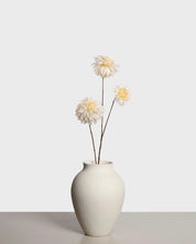 Dahlia spray — White