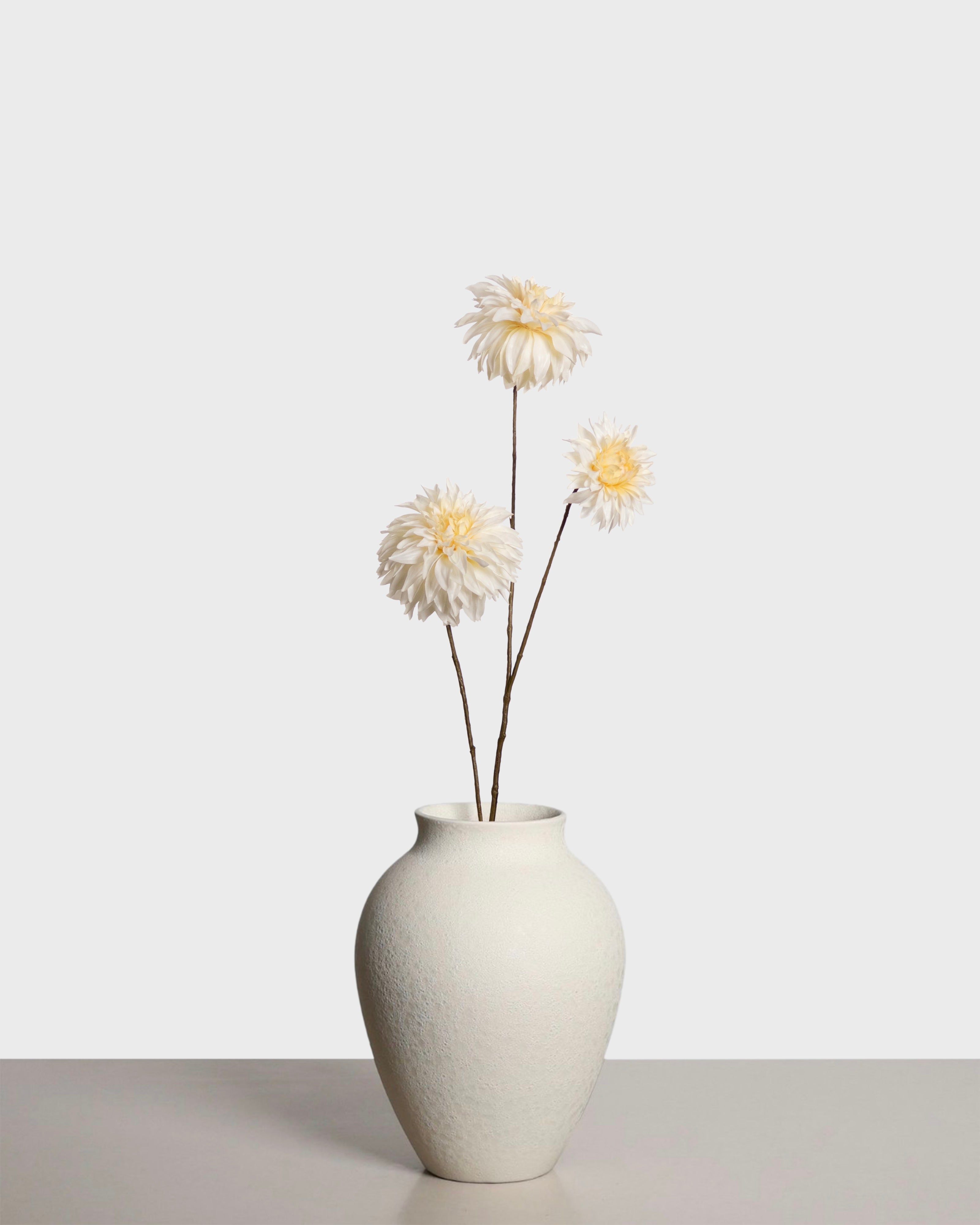 Dahlia spray — White