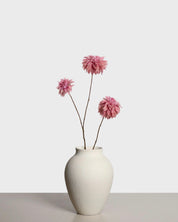 Dahlia spray — Pink