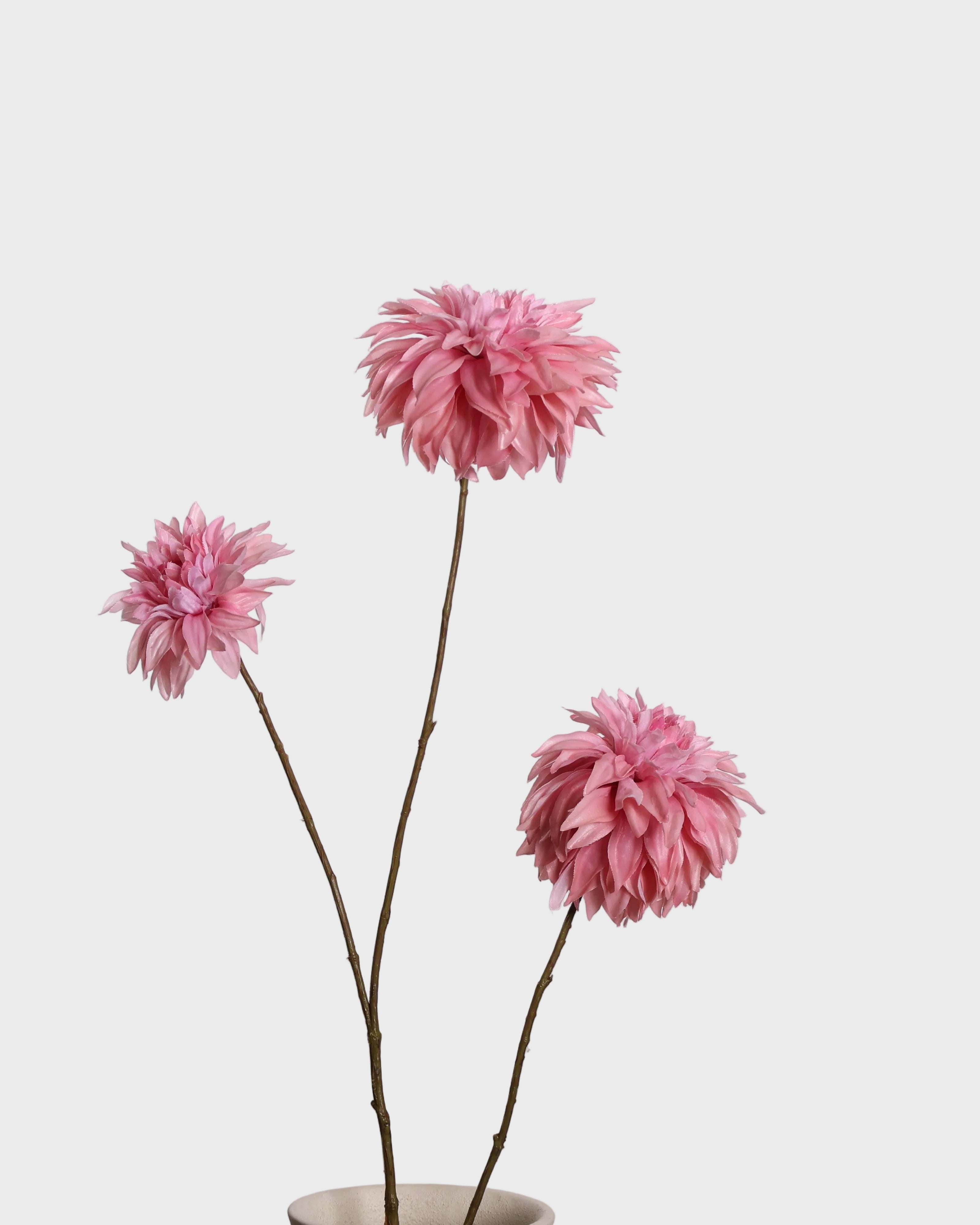 Dahlia spray — Pink