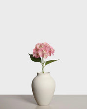 Hydrangea Flower — Pink